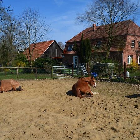 Ferienwohnung Noltenius Bulstedt Zewnętrze zdjęcie