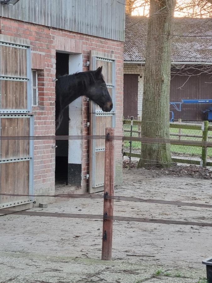 Ferienwohnung Noltenius Bulstedt Zewnętrze zdjęcie