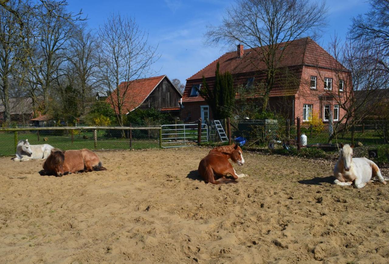 Ferienwohnung Noltenius Bulstedt Zewnętrze zdjęcie